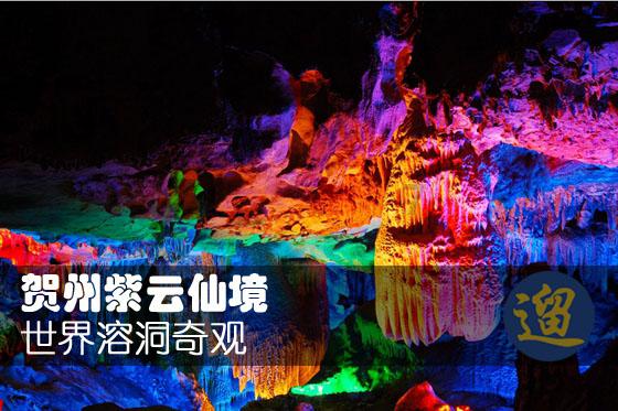 绵阳盐亭：创新发展林业产业助推“天府森林粮库”建设