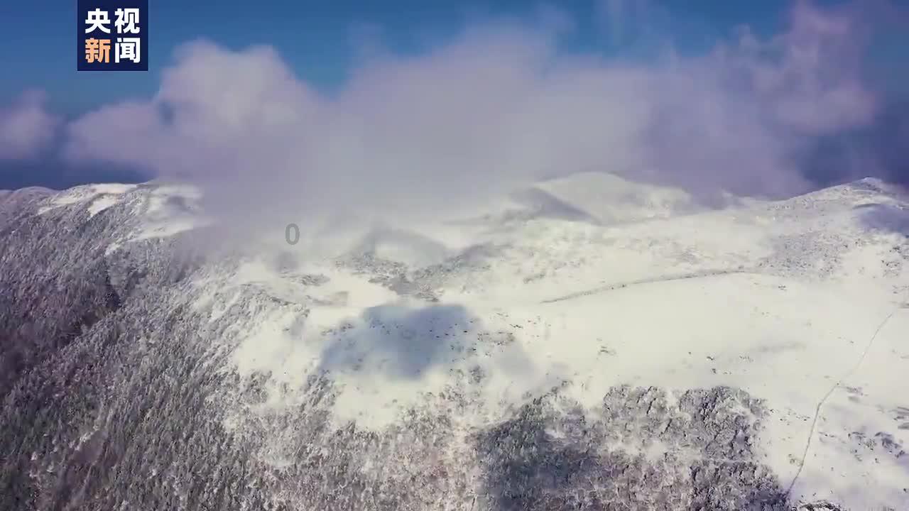 《金屋藏夫》首播,人鬼恋爱模式,新奇有趣,爆笑甜宠,小而精