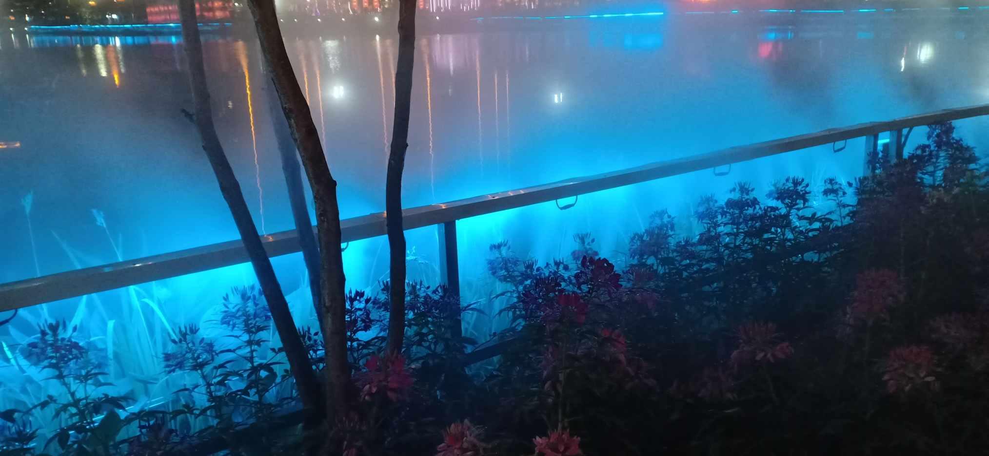 孤独的流浪者救援